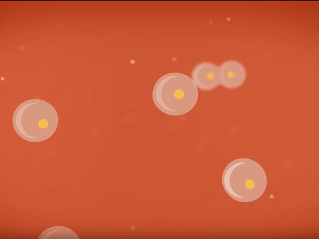 Immuuntherapie video KWF