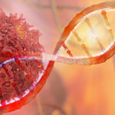 DNA Kanker Onderzoek En Behandeling Stockphoto