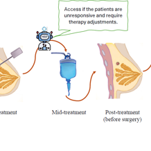 Graphic Neoadjuvant Breast Cancer