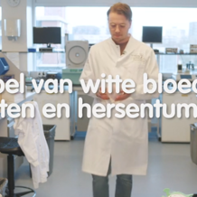 Video AVL Prijs 2024