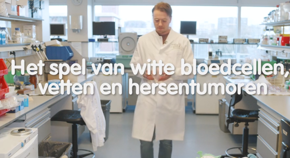 Video AVL Prijs 2024